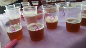 מועדון הבירה בבנימינה: ניסוי השמרים הגדול. ממה עושים בירה, ממה עשויה בירה, סוגי בירה, כשות בירה,