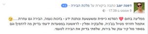 סדנת בירה, טעימות בירה, סדנאות בירה