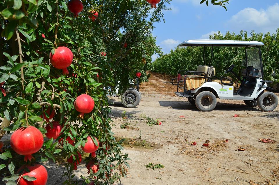 סדנת בירה בטבע, חוויה המשלבת טיול בשטח בטוקטוק וסדנת טעימות בירה