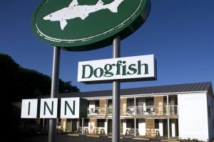 DOGFISH INN מלון בירה, לויס דלוור