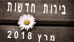 מלכת הבירה מסכמת עבורכם את כל מה שחדש על המדף