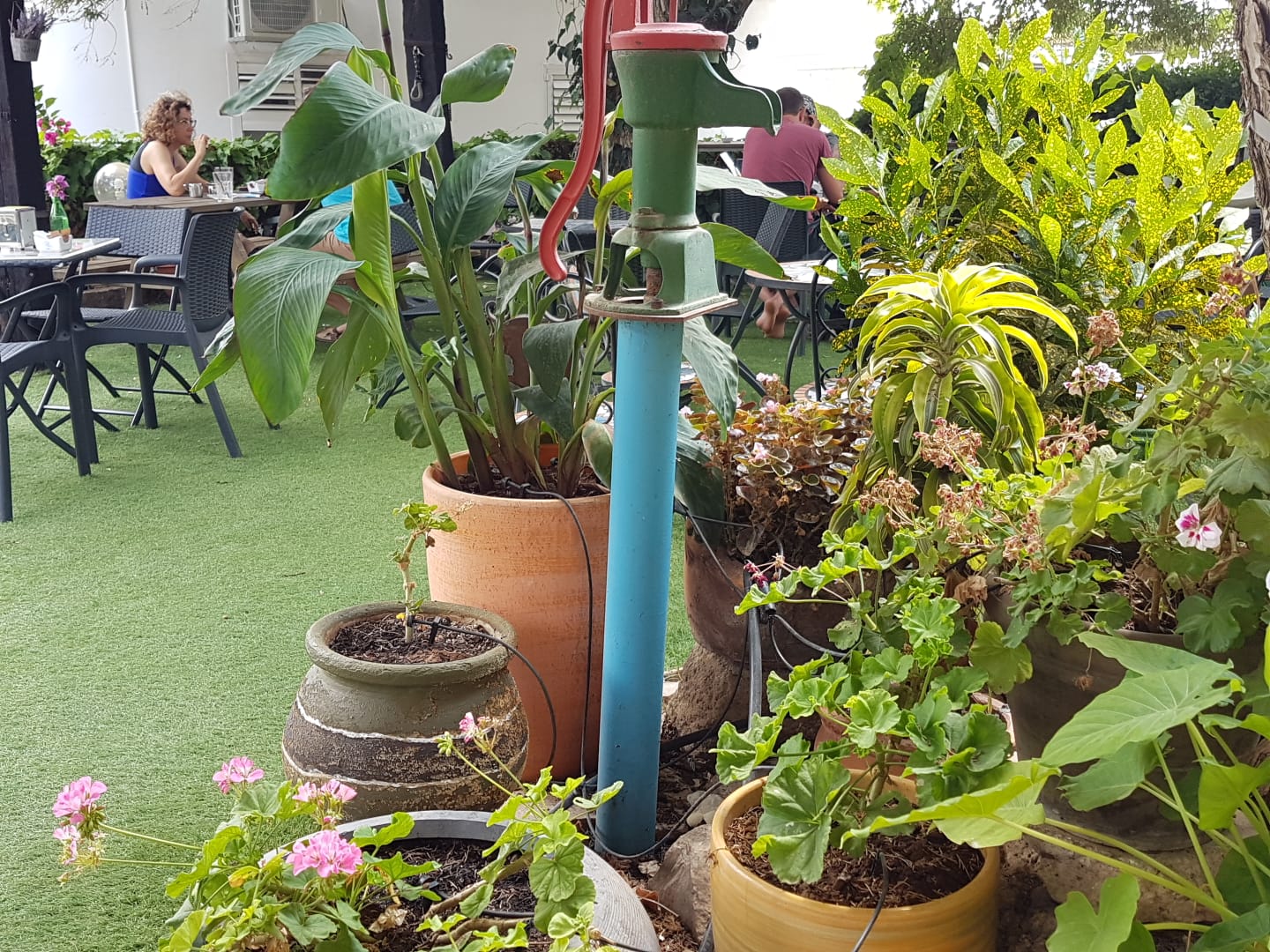 קפה בנימינה במרכז המושבה, מקום מקסים לפעילות חברה וסדנת בירה
