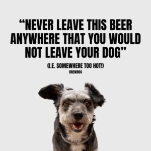 סדנאות בירה